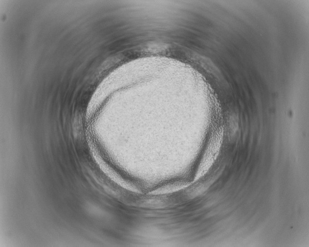 X0000067000236200604241412