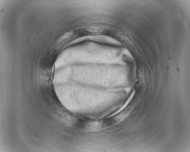 X0000067000237200604241412