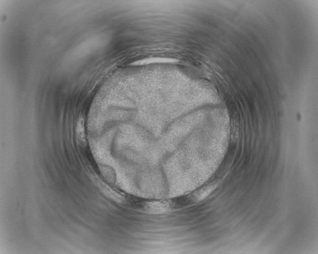 X0000067000238200604241412