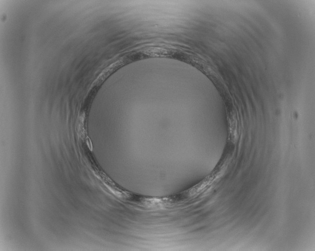 X0000067000239200604241412