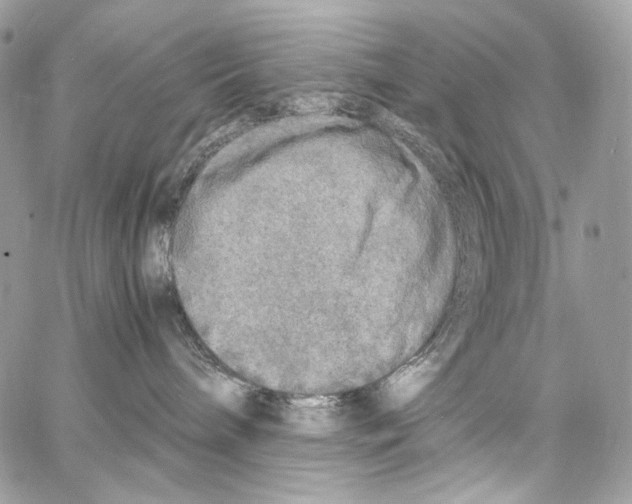 X0000067000240200604241412