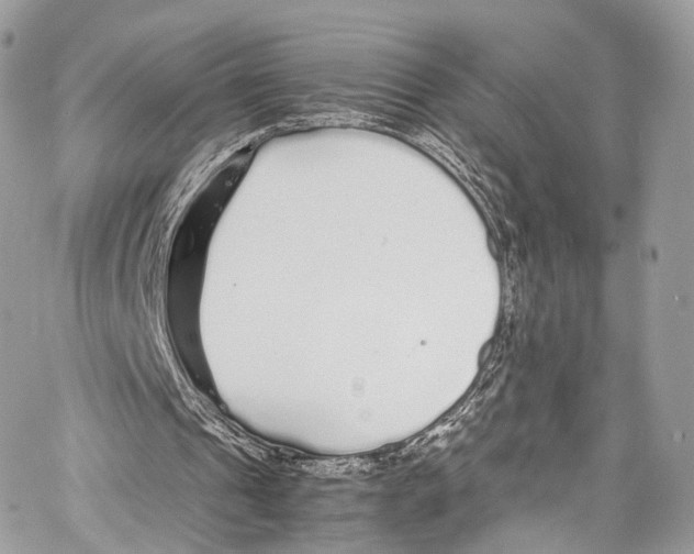 X0000067000241200604241411