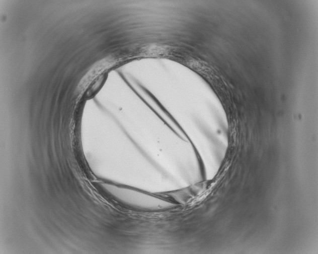 X0000067000242200604241411