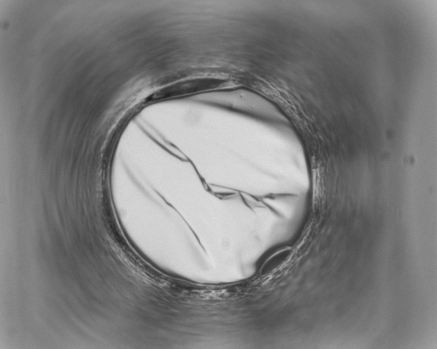 X0000067000243200604241411