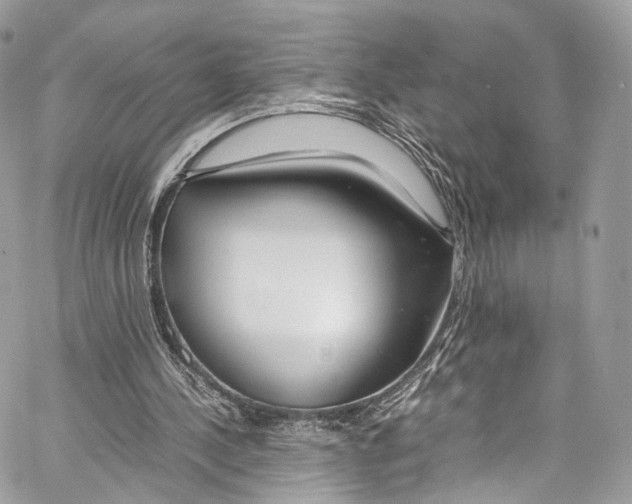 X0000067000244200604241411