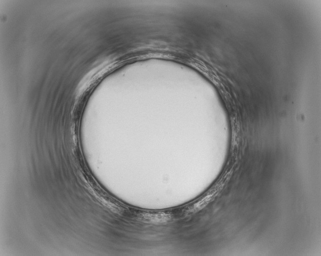 X0000067000245200604241411