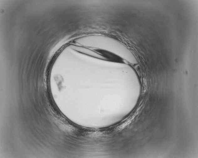 X0000067000246200604241411