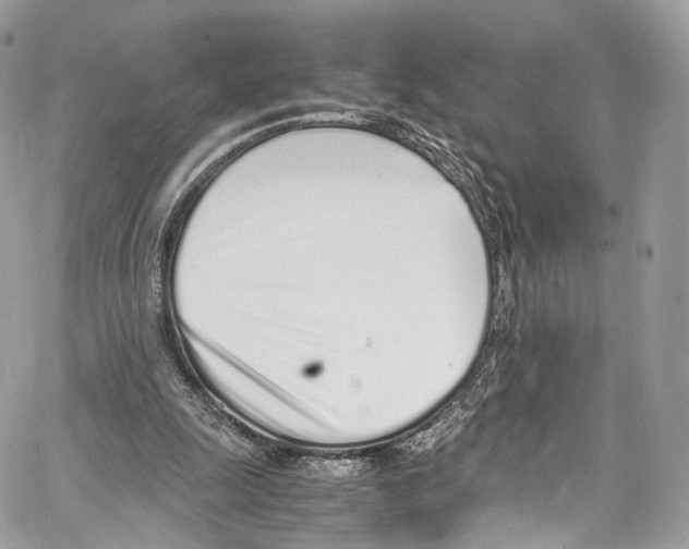 X0000067000247200604241411