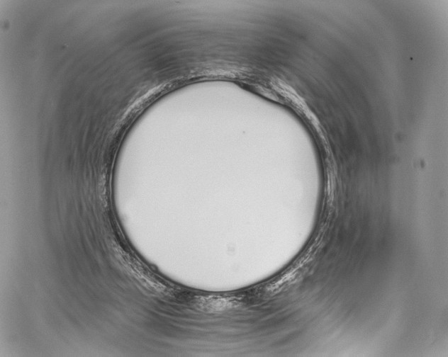 X0000067000249200604241411