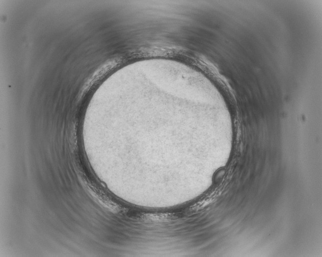 X0000067000250200604241411