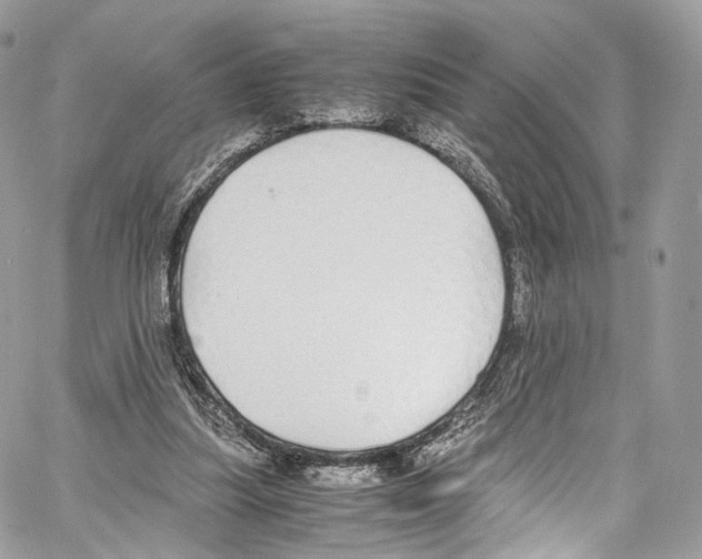 X0000067000251200604241411