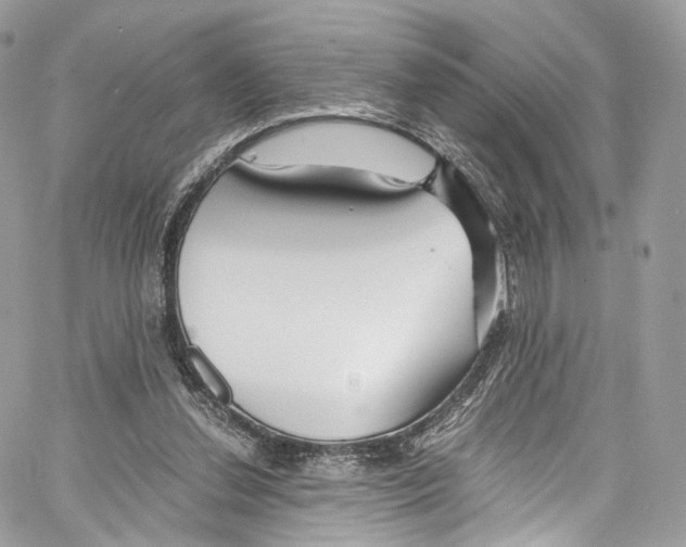 X0000067000252200604241411