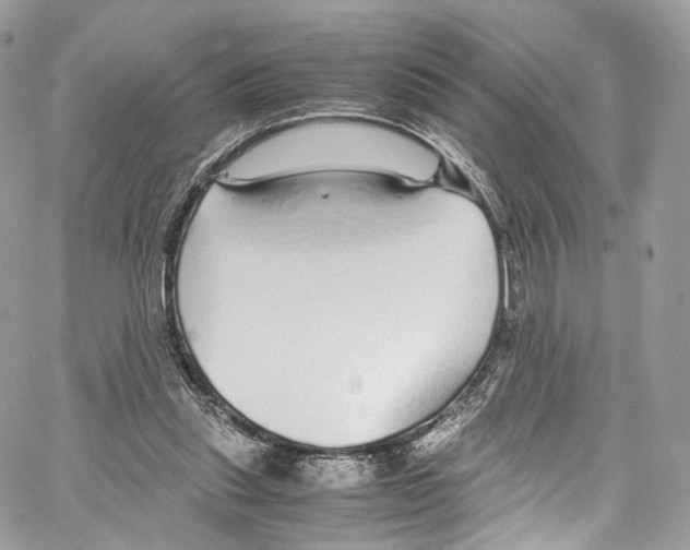 X0000067000253200604241411