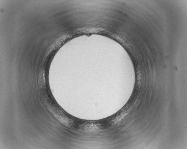 X0000067000254200604241411