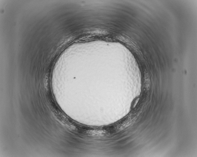 X0000067000255200604241411