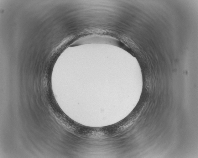 X0000067000256200604241411