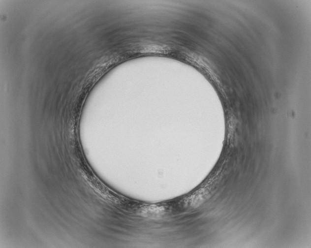 X0000067000257200604241411