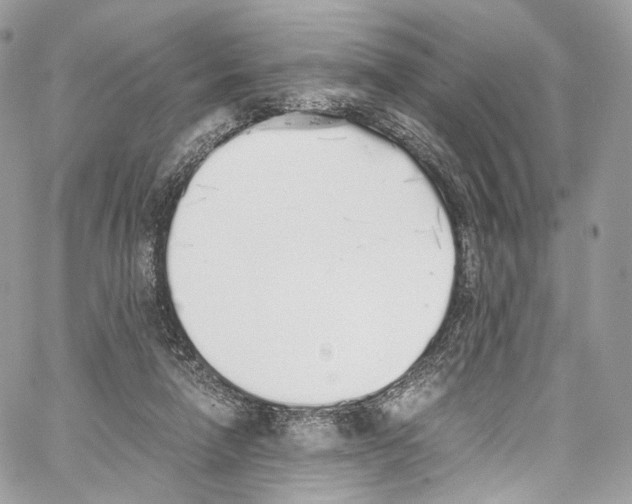 X0000067000258200604241412