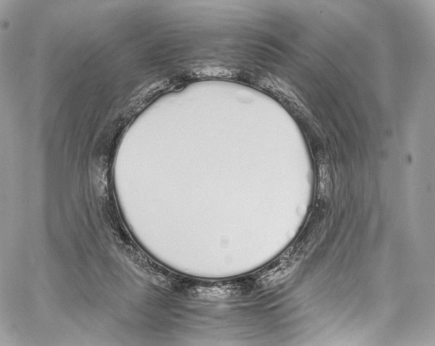 X0000067000259200604241412