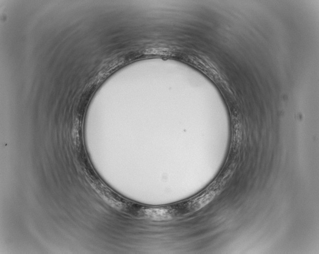 X0000067000265200604241412