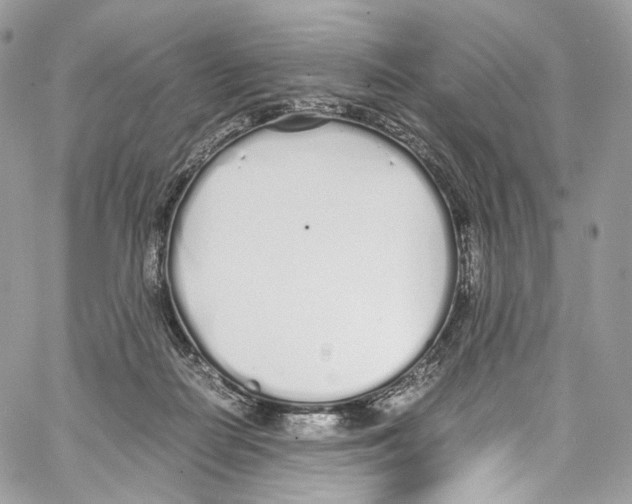 X0000067000266200604241412