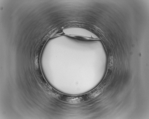 X0000067000267200604241412