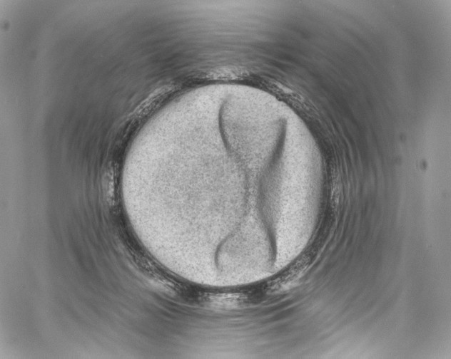 X0000067000268200604241412