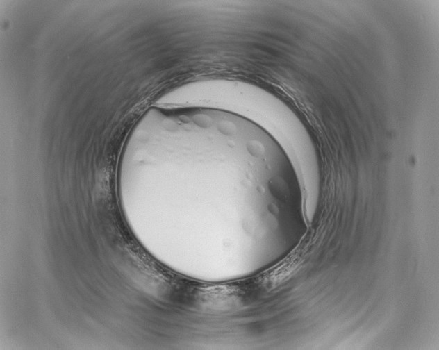 X0000067000269200604241412