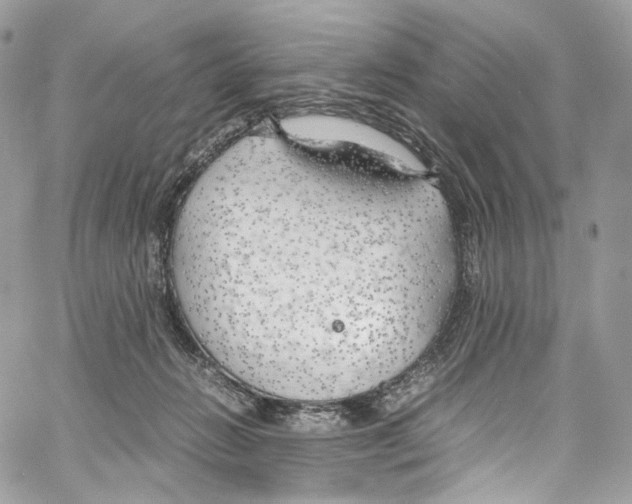 X0000067000270200604241412