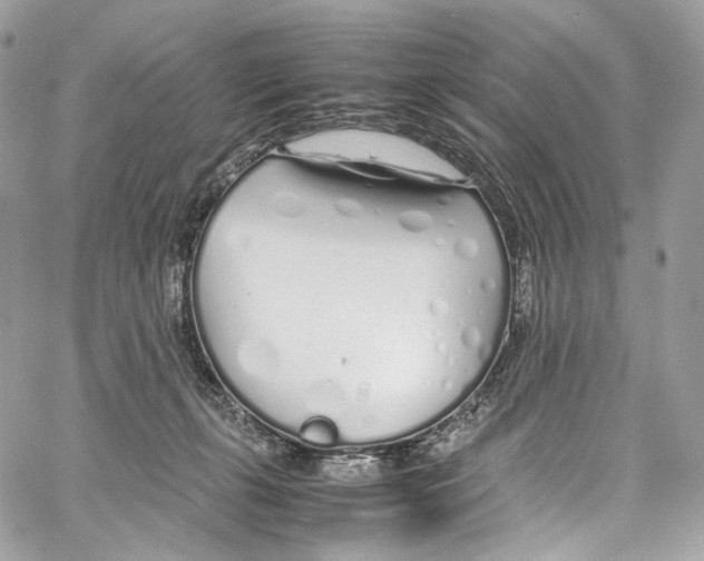 X0000067000271200604241412