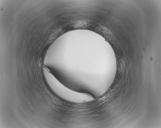 X0000067000273200604241412