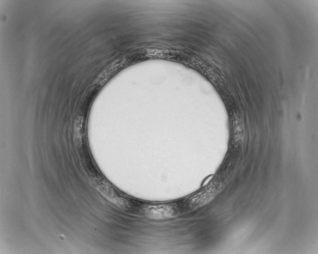 X0000067000275200604241412