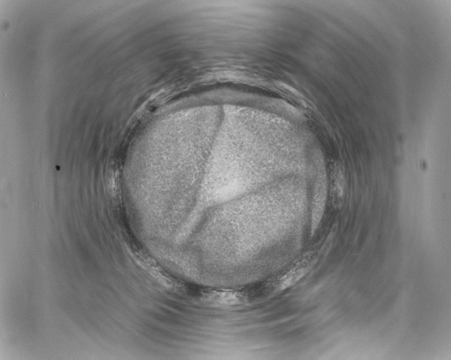 X0000067000276200604241412