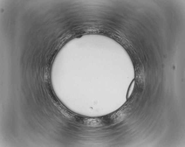 X0000067000277200604241412