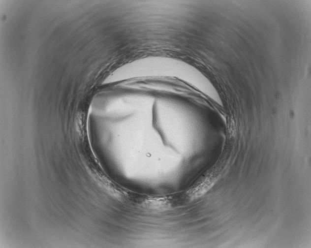 X0000067000280200604241412