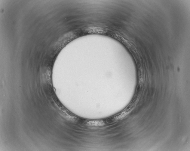 X0000067000281200604241412