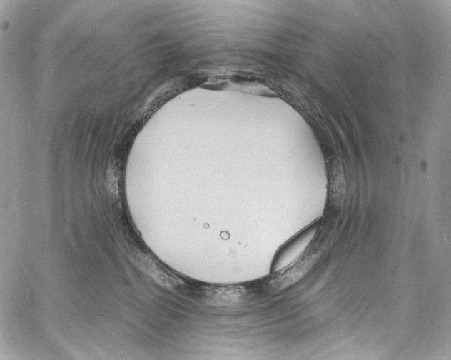 X0000067000282200604241412