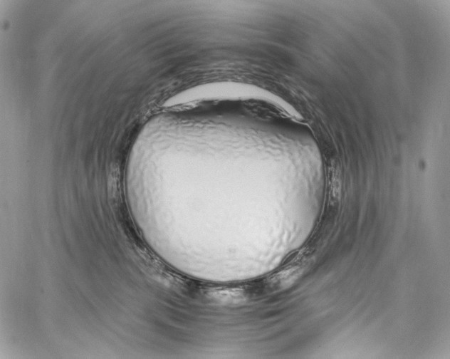 X0000067000283200604241412