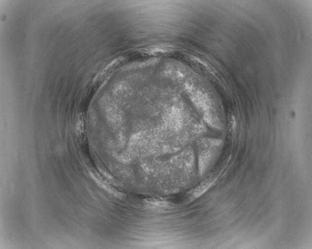 X0000067000284200604241412