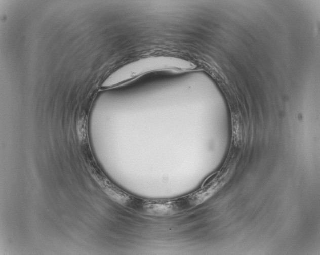 X0000067000285200604241412