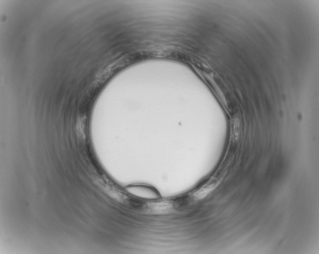 X0000067000286200604241412