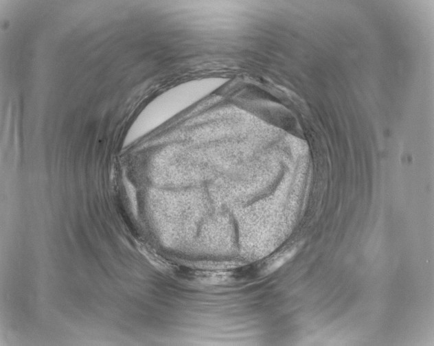 X0000067000288200604241412