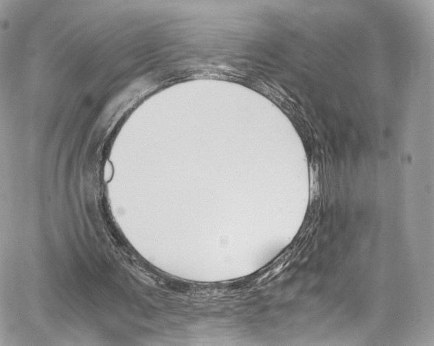 X0000067000291200604241411