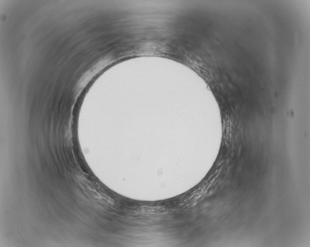 X0000067000292200604241411