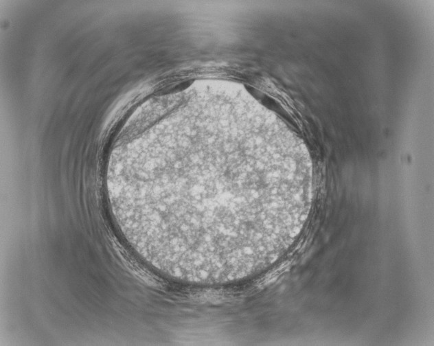 X0000067000293200604241411