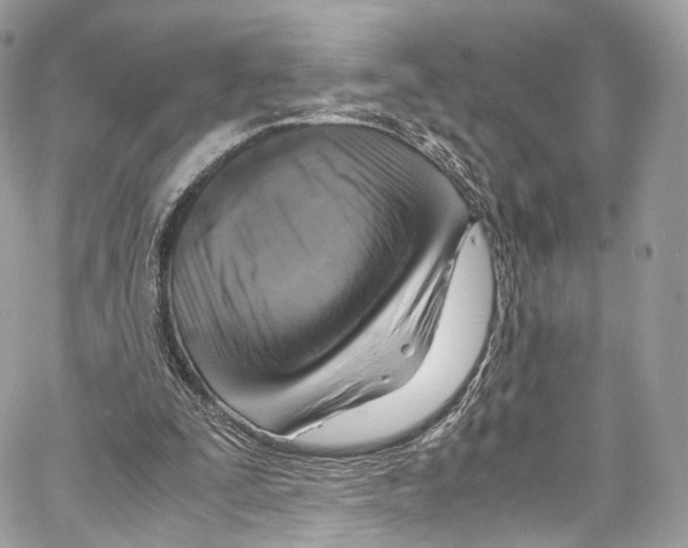 X0000067000295200604241411