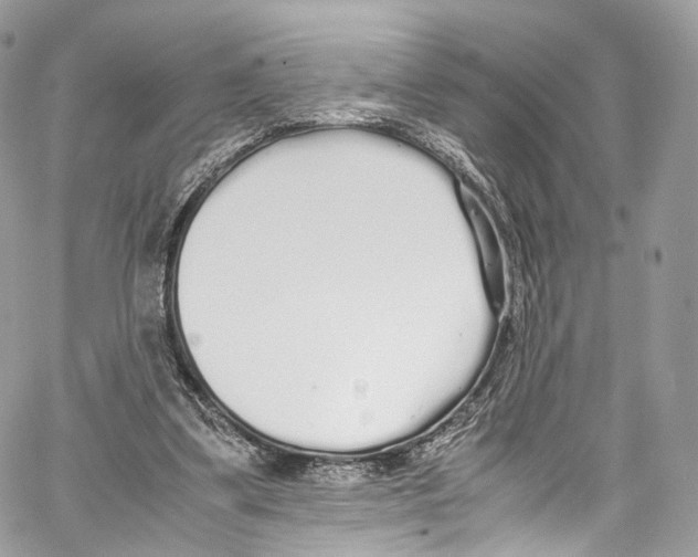 X0000067000299200604241411