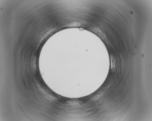 X0000067000300200604241411