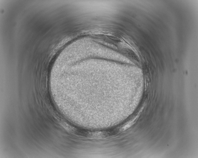 X0000067000301200604241411