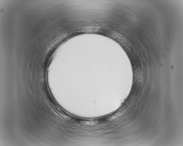 X0000067000303200604241411